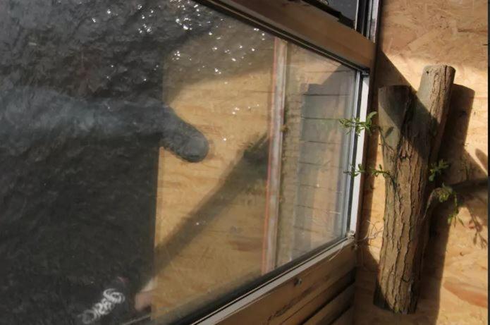 Einzigartiges 140Qm Loft - Party Ist Erlaubt! Lägenhet Berlin Exteriör bild